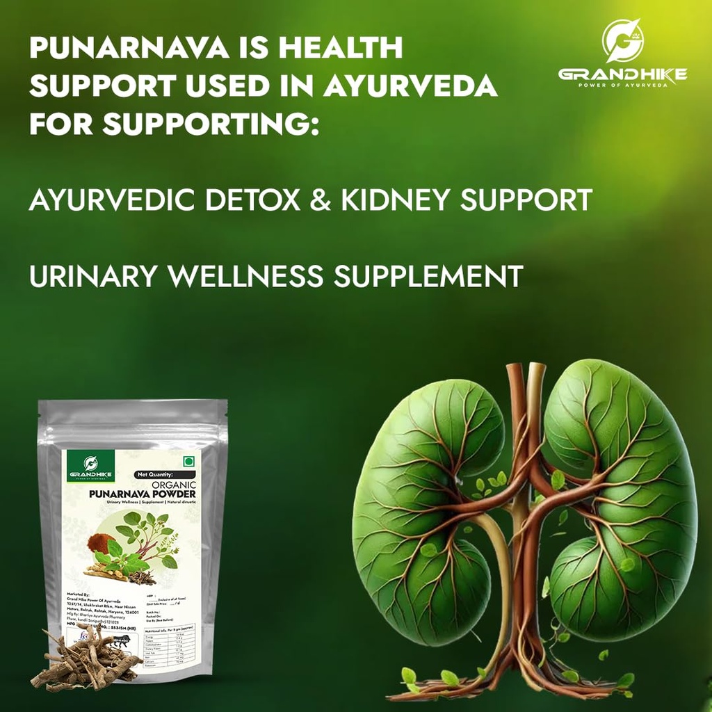 grandhike-organic-punarnava-powder-churn-61TD0WC7eML.jpg