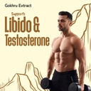 bliss-welness-shilajit-shilajeet-gold-re-61kOr5NkVEL.jpg