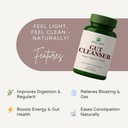 gut-cleanser-ayurvedic-capsules-with-tri-51Ur2WokPbL.jpg
