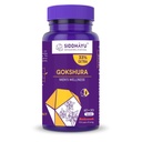 siddhayu-by-baidyanath-gokshura-tablet-m-51yLoayIABL.jpg