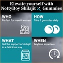 nottyboy-pure-himalayan-shilajeet-gummie-71Xq+rK4P7L.jpg