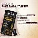 sesa-himalayan-shilajit-all-day-energy-g-91vxTkVIZ7L.jpg
