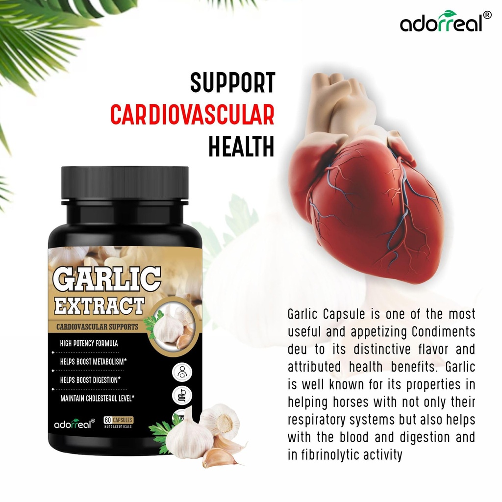 garlic-capsules-600mg-odorless-garlic-ex-71KxHPZZVXL.jpg