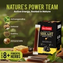 dr-ortho-himalayan-shilajit-honey-sticks-61CzXCr1oML.jpg