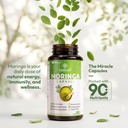 moringa-capsules-100-pure-moringa-leaf-e-7198MP9OaBL.jpg