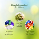 moringa-capsules-100-pure-moringa-leaf-e-619d1VAvt0L.jpg