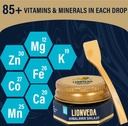 original-himalayan-shilajit-shilajeet-re-71HKkqUyCzL.jpg