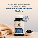 maharishi-ayurveda-shilajeet-rasayana-50-61eo6m58JwL.jpg