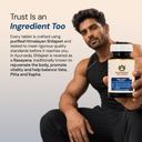 maharishi-ayurveda-shilajeet-rasayana-50-61USfsTXquL.jpg