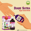 basic-ayurveda-diabe-sutra-500ml-ayurved-710-enP7ebL.jpg