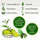 aplomb-garcinia-with-green-tea-60-capsul-71mEW3Bl-TL.jpg