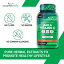 nourishvitals-amla-vitamin-c-with-tannin-61rRv7XyTeL.jpg