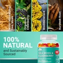 bio-vitalica-sea-moss-gummies-elderberry-2.jpg