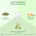 a-tata-product-organic-india-tulsi-honey-61L02DP0+9L.jpg