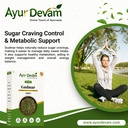 gudmar-gudmar-leaves-raw-madhunashini-si-91XWYzv9hYL.jpg