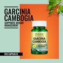 morpheme-remedies-garcinia-cambogia-for--61Zg88bhkHL.jpg