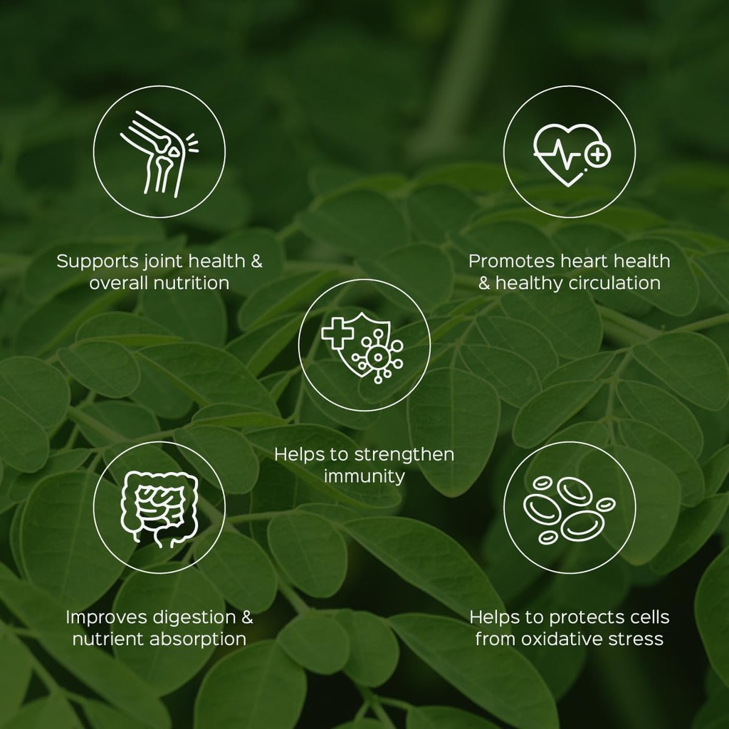 moringa-powder-200g-ayurvedic-superfood--613dwNuPDWL.jpg