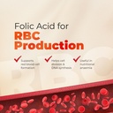 tablets-3x10-s-30-tablets-iron-folic-aci-81sDkz60qhL.jpg