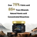 nutrastore-shilajit-gold-resin-20-gm-shi-71-WY2bLUlL.jpg