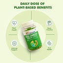 dr-morepen-veg-omega-3-6-7-9-capsules-50-71QEGo1jpIL.jpg
