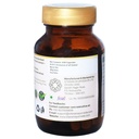sitaram-ayurveda-brahmi-capsules-ayurved-71pH78glo+L.jpg