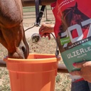 formula-707-ulzerless-equine-supplement--4.jpg