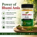 bhumi-amla-powder-organic-100g-pack-of-2-714qfYNKjyL.jpg