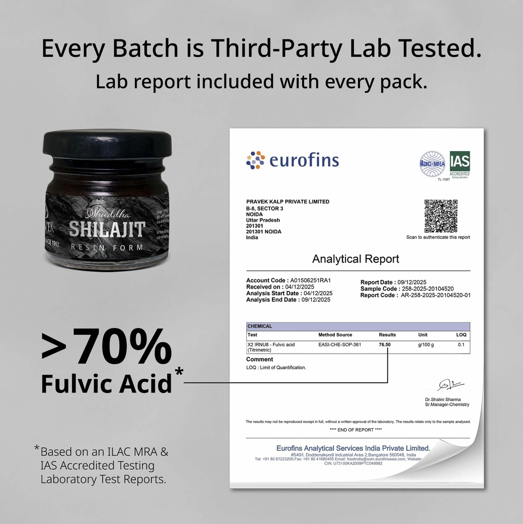 pravek-shuddha-shilajit-shilajeet-resin--81C+N5N62pL.jpg