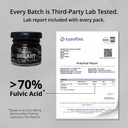 pravek-shuddha-shilajit-shilajeet-resin--81C+N5N62pL.jpg