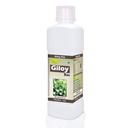giloy-ras-500ml-51bmjWhPAKL.jpg