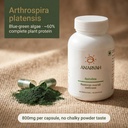 spirulina-capsules-800mg-blue-green-alga-81gv9r0aeqL.jpg