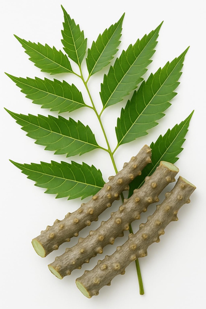 natural-neem-giloy-fresh-plant-sticks-7--71zpIdG9ehL.jpg