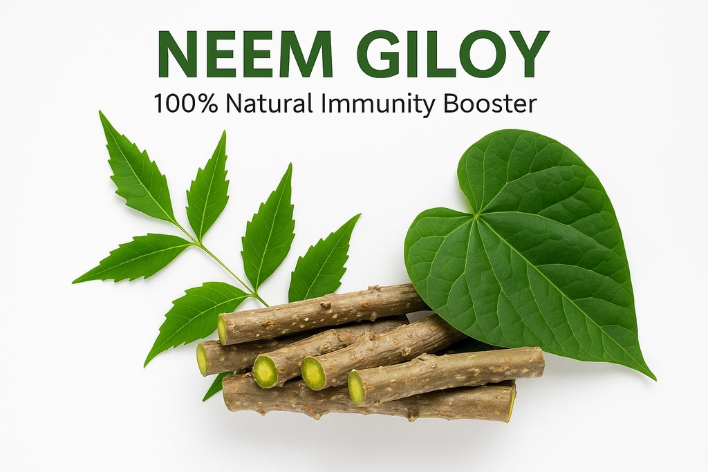 natural-neem-giloy-fresh-plant-sticks-7--61ZWm14spkL.jpg
