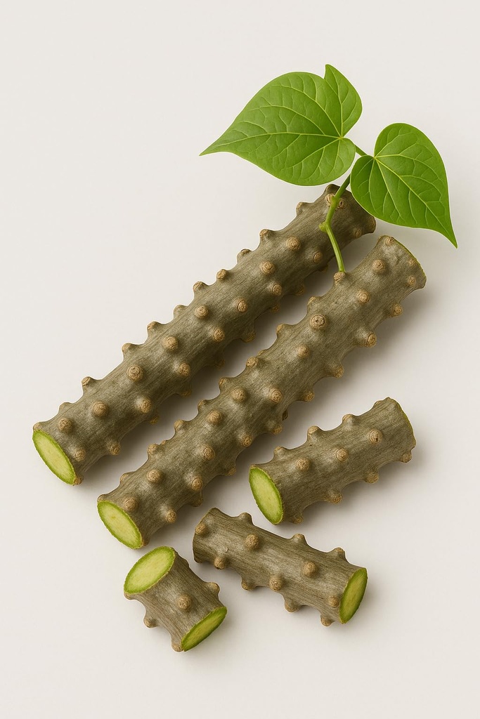natural-neem-giloy-fresh-plant-sticks-7--61O4Nm6h8dL.jpg