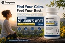trexgenics-st-john-s-wort-500mg-standard-711rO0kqv2L.jpg