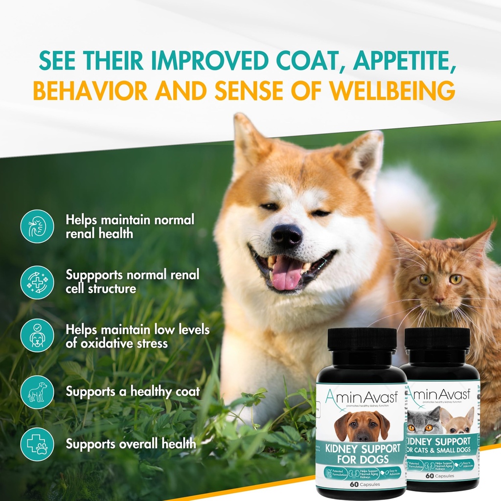 aminavast-cat-small-dog-kidney-support-3-81IjusemqnL.jpg