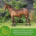 farnam-grow-colt-supplement-for-foal-gro-A1aVM+Ibv6L.jpg