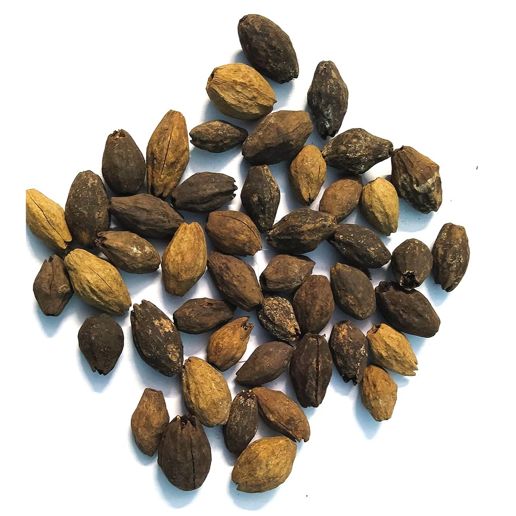neem-seeds-nimboli-whole-azadirachta-ind-71pGTOjsrBL.jpg