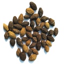 neem-seeds-nimboli-whole-azadirachta-ind-71pGTOjsrBL.jpg