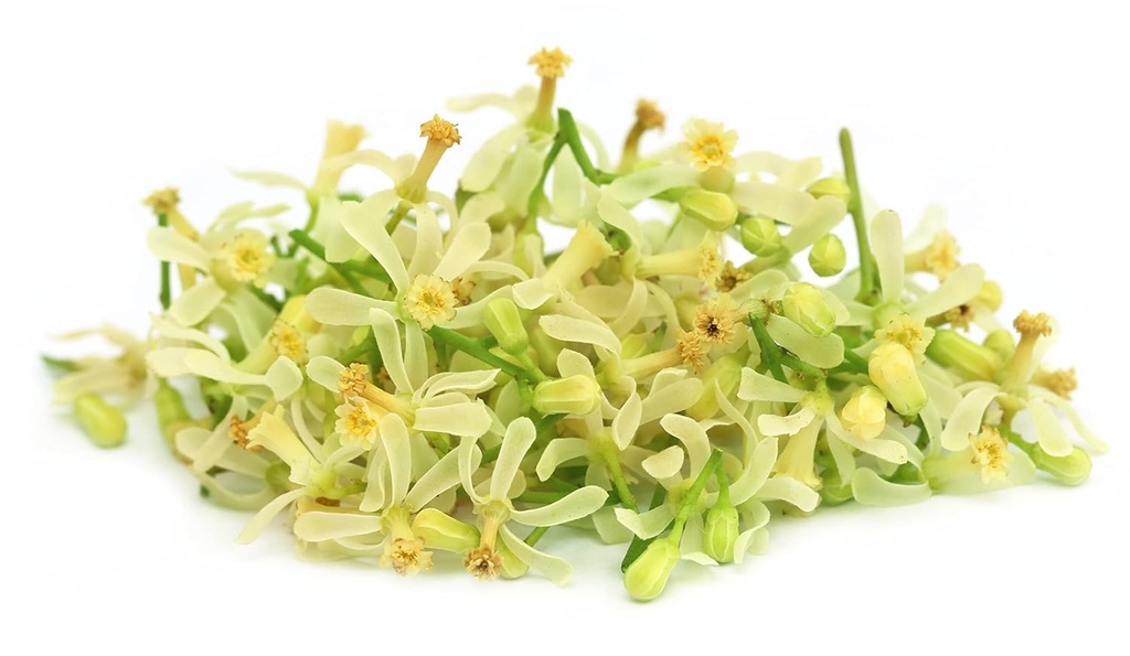 fresh-neem-flower-100-gram-61u4TvqxuDL.jpg