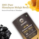 shilajit-honey-sticks-30-count-75-fulvic-81hvmBv0leL.jpg