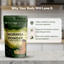 moringa-powder-250g-100-pure-natural-mor-819O43WtxCL.jpg