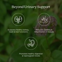 punarnava-powder-200g-supports-natural-u-61RSCcGL3cL.jpg