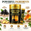 gvsk-shilajit-honey-sticks-with-fulvic-a-71I4RpXS-jL.jpg