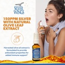 natural-path-silver-wings-colloidal-silv-81nfTX0OYmL.jpg