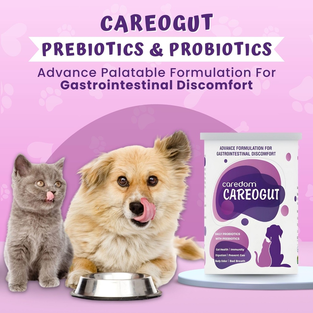 careogut-prebiotics-probiotics-for-dogs--81ScdL5MxmL.jpg