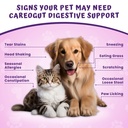 careogut-prebiotics-probiotics-for-dogs--71wObOJlxTL.jpg