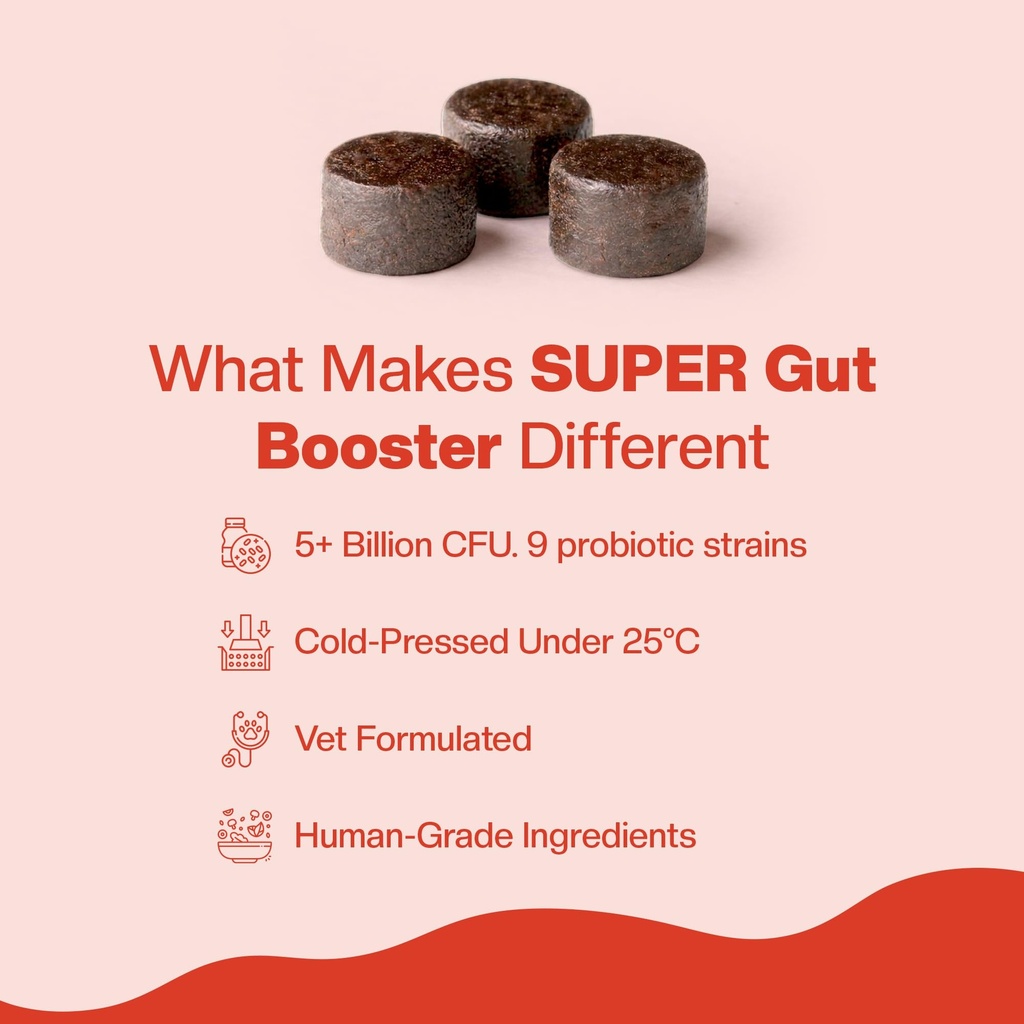 blep-super-gut-booster-dog-probiotic-sof-71eoHmN14DL.jpg