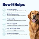 hope-pre-probiotics-supplement-for-dogs--71tJBZ6D8+L.jpg