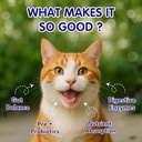 petroyale-cat-digestive-probiotics-cat-p-81BENYqEksL.jpg